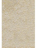 Tapis d'accueil nylon uni blanc - Rectangulaire 60 x 90cm