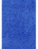 Tapis d'accueil nylon uni bleu moyen - Rectangulaire 60 x 90cm