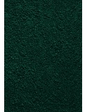 TAPIS PRESTIGE D'INTÉRIEUR - Fibre nylon uni vert foncé - Rectangulaire 120x240cm