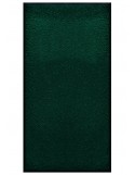 TAPIS PRESTIGE D'INTÉRIEUR - Fibre nylon uni vert foncé - Rectangulaire 120x240cm