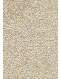 TAPIS PRESTIGE D'INTÉRIEUR - Fibre nylon uni blanc cassé - Rectangulaire 120x240cm