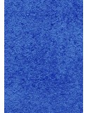 TAPIS PRESTIGE D'INTÉRIEUR - Fibre nylon uni bleu marine - Rectangulaire 120x240cm