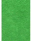 TAPIS PRESTIGE D'INTÉRIEUR - Fibre nylon uni vert pomme - Rectangulaire 120x180cm