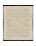 TAPIS DE PORTE D'ENTRÉE - NYLON UNI BLANC - Rectangulaire 80 x 90cm