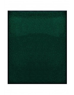 TAPIS DE PORTE D'ENTRÉE - NYLON UNI VERT FONCÉ - Rectangulaire 80x90cm