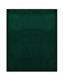 TAPIS DE PORTE D'ENTRÉE - NYLON UNI VERT FONCÉ - Rectangulaire 80 x 90cm