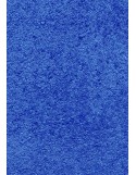 TAPIS DE PORTE D'ENTRÉE - NYLON UNI BLEU - Rectangulaire 80 x 90cm