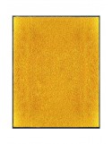 TAPIS DE PORTE D'ENTRÉE - NYLON UNI JAUNE ORANGÉ - Rectangulaire 80 x 90cm