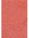 TAPIS DE PORTE D'ENTRÉE - NYLON UNI SAUMON - Rectangulaire 80 x 90cm