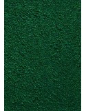 TAPIS PRESTIGE D'INTÉRIEUR - Fibre nylon uni vert - Rectangulaire 120x240cm