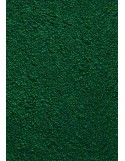 PAILLASSON Haut-de-gamme - Nylon uni vert foncé - Rectangulaire 50 x 75cm