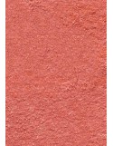PAILLASSON Haut-de-gamme - Nylon uni saumon - Rectangulaire 50 x 75cm