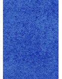 PAILLASSON Haut-de-gamme - Nylon uni bleu - Rectangulaire 50 x 75cm