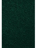 PAILLASSON Haut-de-gamme - Nylon uni vert foncé - Rectangulaire 50 x 75cm