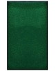 PAILLASSON Haut-de-gamme - Nylon uni vert - Rectangulaire 90 x 150cm