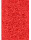 TAPIS D'ENTRÉE COTON - 40x60cm -PREMIUM ROUGE