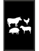 TAPIS PREMIUM POUR BOUCHERIE NYLON - COULEUR GRIS