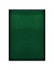 TAPIS DE PORTE D'ENTRÉE - NYLON UNI VERT - Rectangulaire 40 x 60cm
