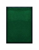 TAPIS DE PORTE D'ENTRÉE - NYLON UNI VERT - Rectangulaire 40 x 60cm