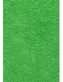 TAPIS DE PORTE D'ENTRÉE - NYLON UNI VERT POMME - Rectangulaire 40 x 60cm