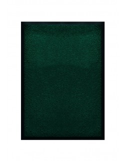 TAPIS DE PORTE D'ENTRÉE - NYLON UNI VERT FONCÉ - Rectangulaire 40 x 60cm