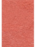 TAPIS DE PORTE D'ENTRÉE - NYLON UNI SAUMON - Rectangulaire 40 x 60cm