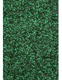 TAPIS DE PORTE D'ENTRÉE - NYLON CHINÉ VERT - Rectangulaire 40 x 60cm