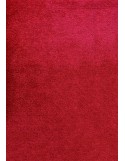 TAPIS D'ENTRÉE - NYLON UNI FUCHSIA - Demi-Lune 40 x 60cm