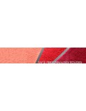 ROUGES - ORANGE - SAUMON